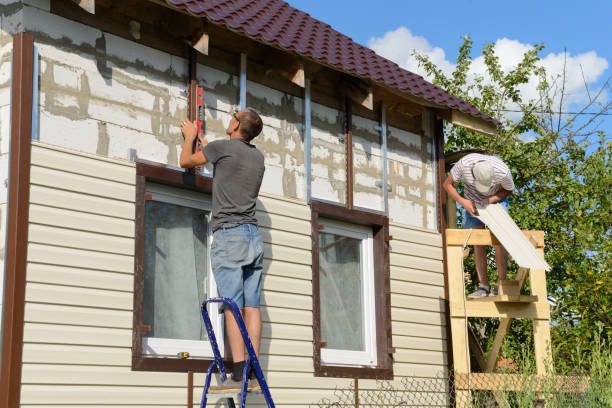 Best Insulated Siding Installation  in White Sands, NM