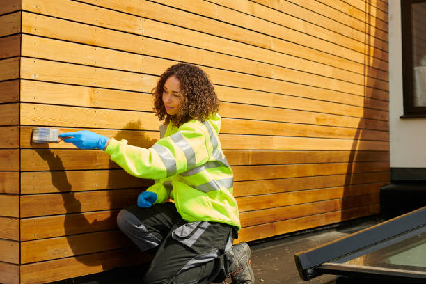 Best Steel Siding Installation  in White Sands, NM